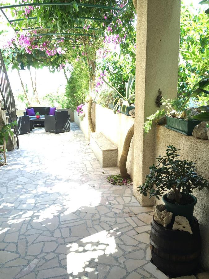 Apartments Tamara أوروبيتش المظهر الخارجي الصورة