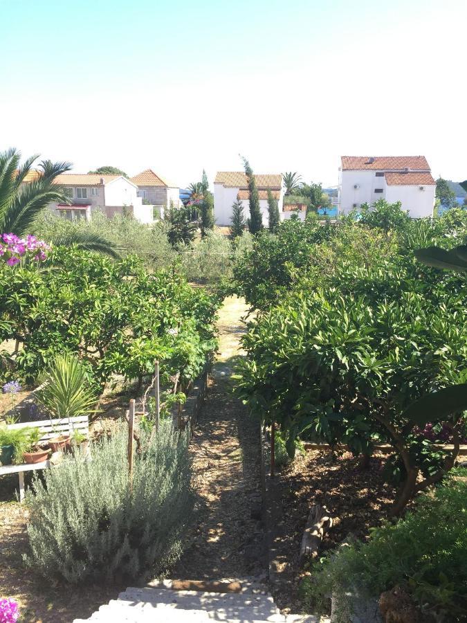 Apartments Tamara أوروبيتش المظهر الخارجي الصورة